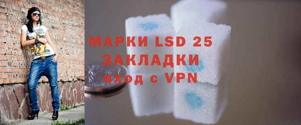 PSILOCYBIN Белокуриха