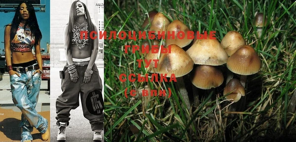 PSILOCYBIN Белокуриха
